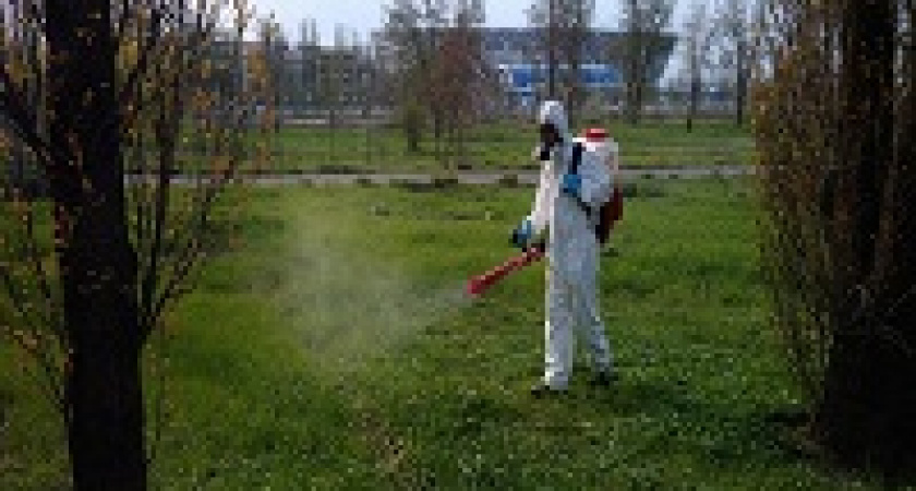 Водоёмы в Волгоградской области обрабатывают от комаров и клещей