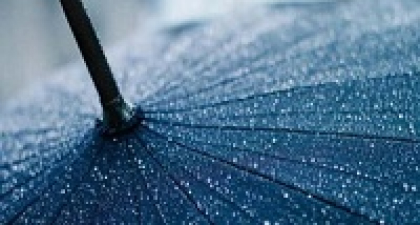 Волгоградцев снова ждут дожди