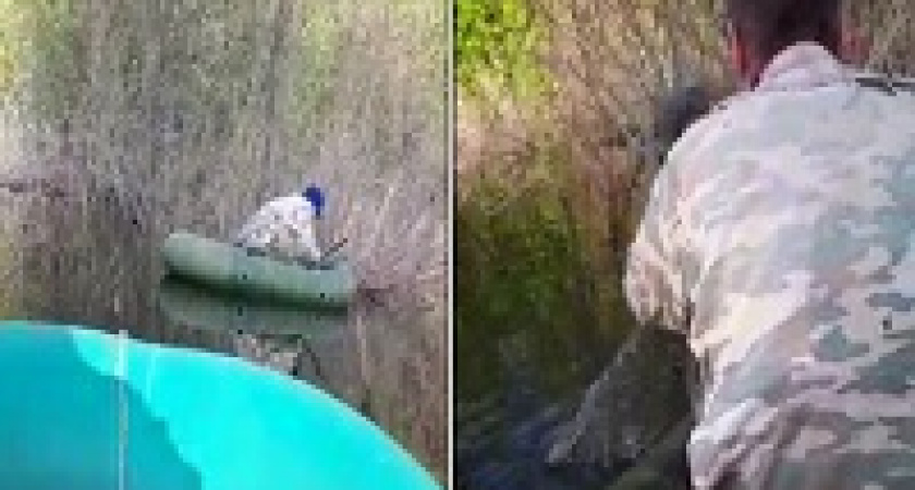 Под Волгоградом браконьер ловил рыбу тремя 70-метровыми сетями