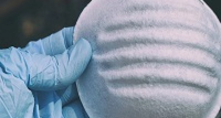 С завтрашнего дня в Волгограде – масочный режим