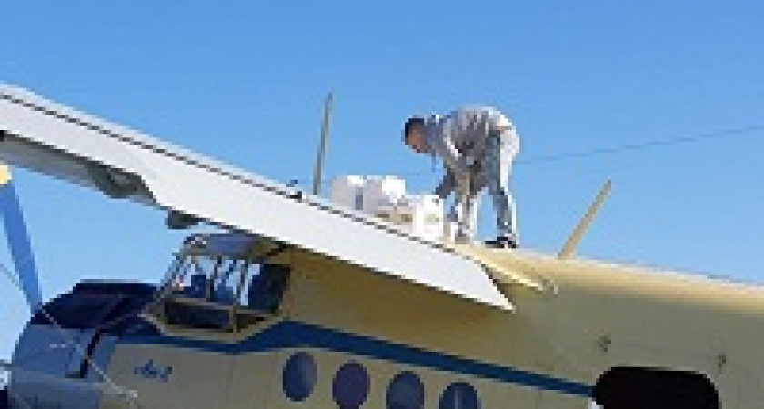 Леса Волгоградской области обрабатывают от вредителей