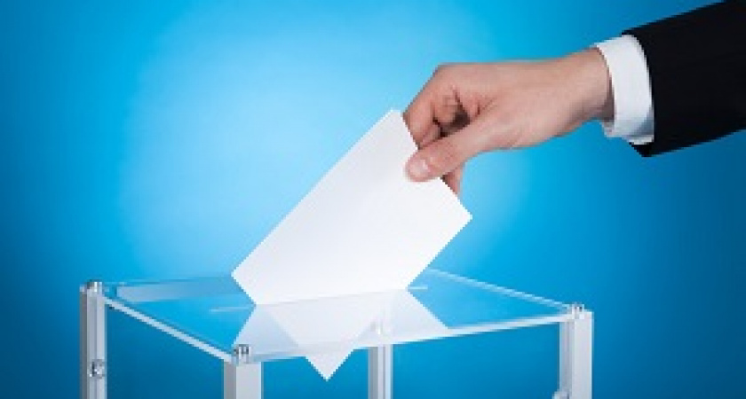 Голосование по Конституции пройдёт 1 июля