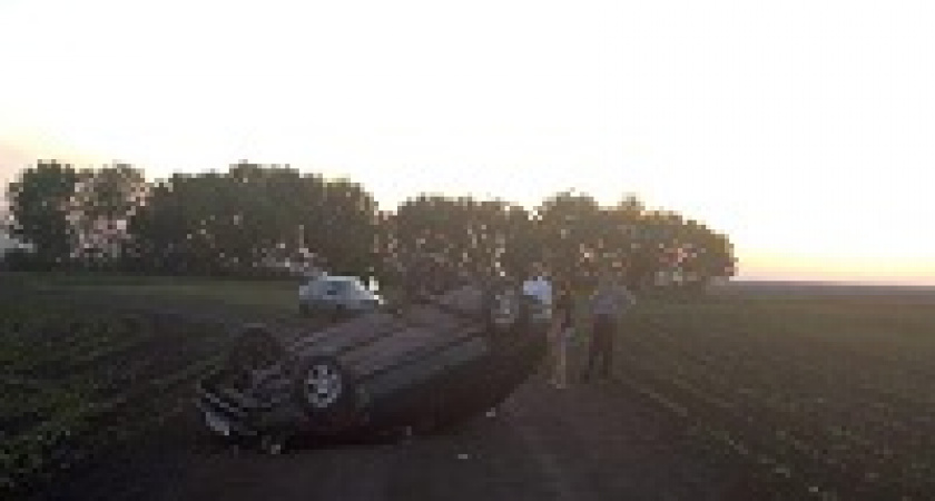 В Михайловке пьяная автоледи без прав угробила в аварии 2-летюю дочь 