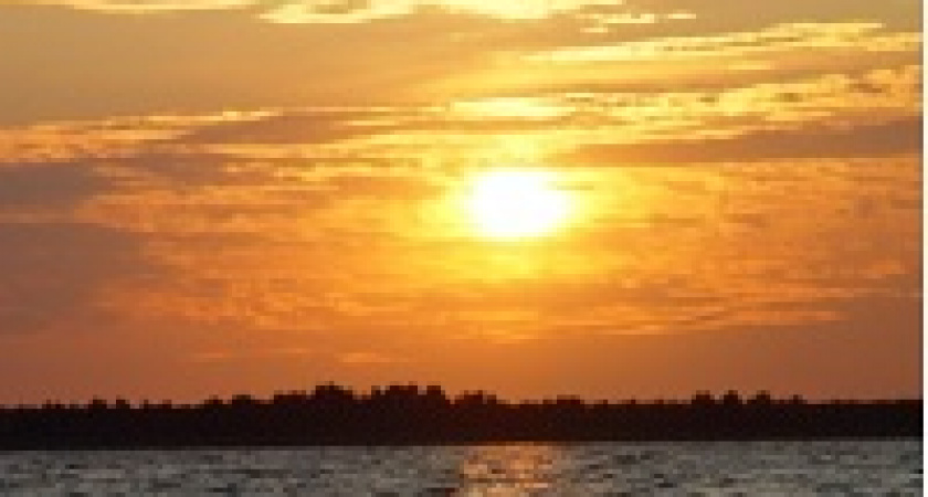 В Волгоград 12 июня пришла сорокоградусная жара