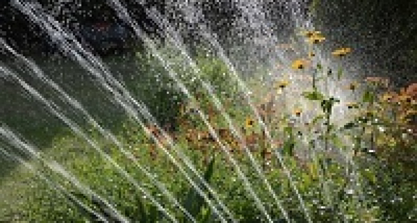 Автополив под ключ – эстетические и современные системы орошения