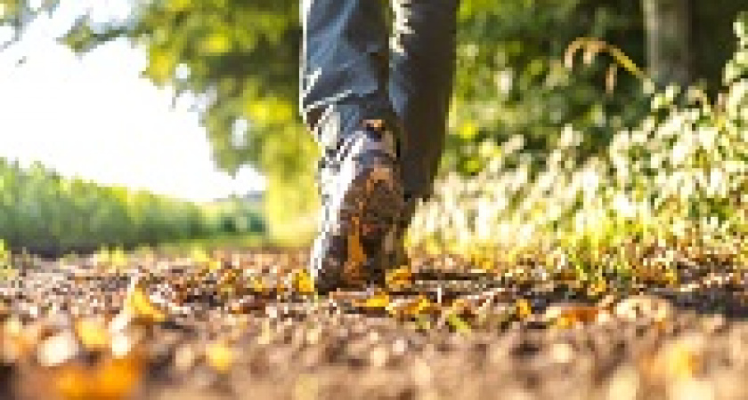 Сегодня – Всемирный день прогулки