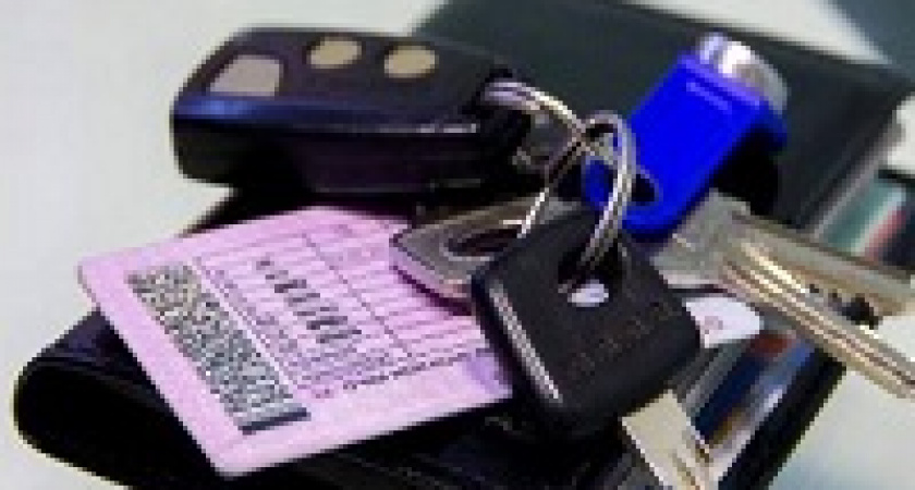 В МВД предложили изменить внешний вид водительских прав