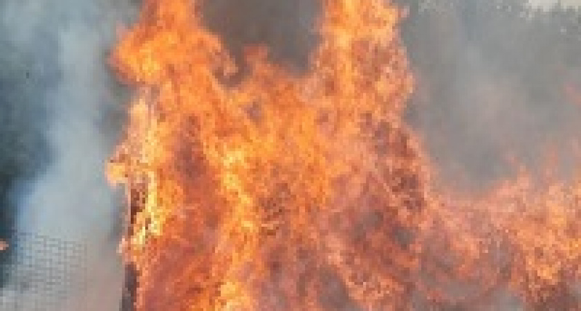 В Волгоградской области борются с лесными пожарами