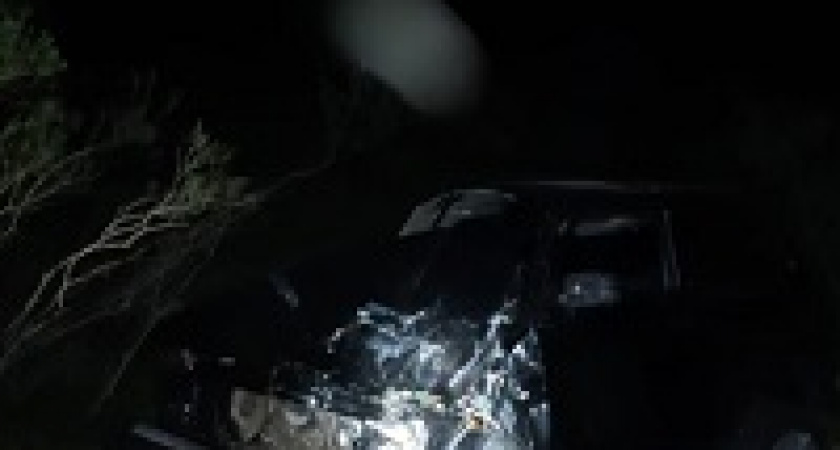 Под Волгоградом подросток на «Ниве» врезался в дерево