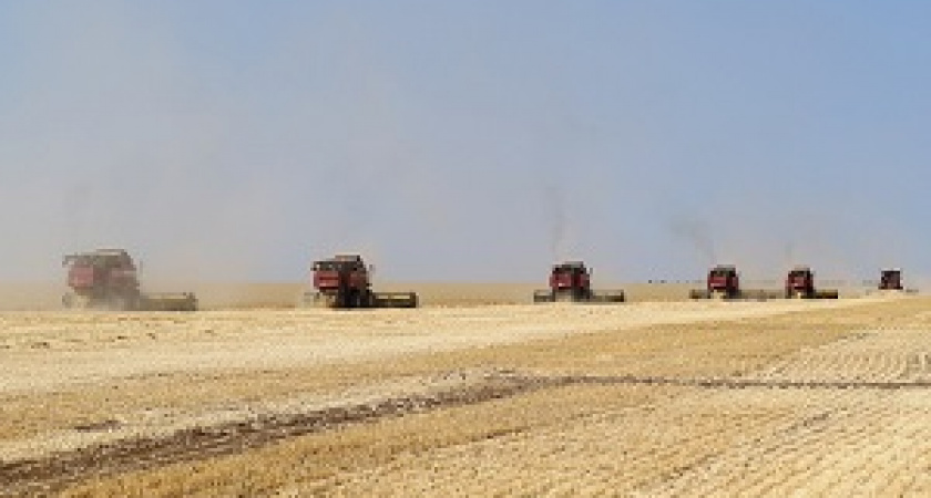 Аграрии региона собрали уже 3 млн тонн зерна