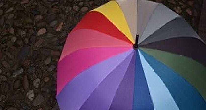 Волгоградцам обещают дождь, грозу и ураган