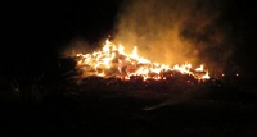 В селе под Волгоградом из мести сожгли весь запас сена на зиму