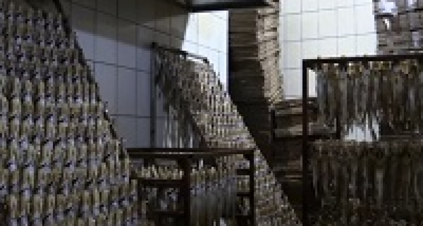 В Волгограде полиция нашла более 7 тонн опасной рыбы