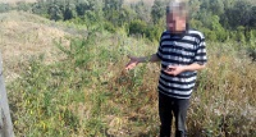 Под Волгоградом участковый нашёл марихуану у местного жителя