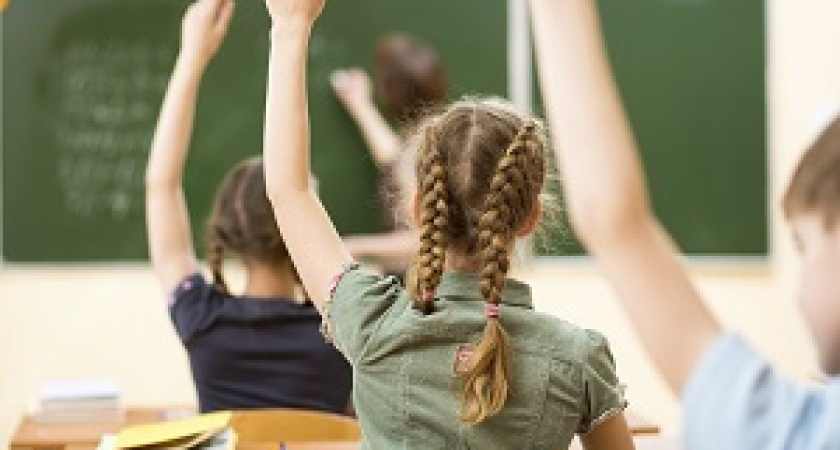 Как будет организована учёба в школах?