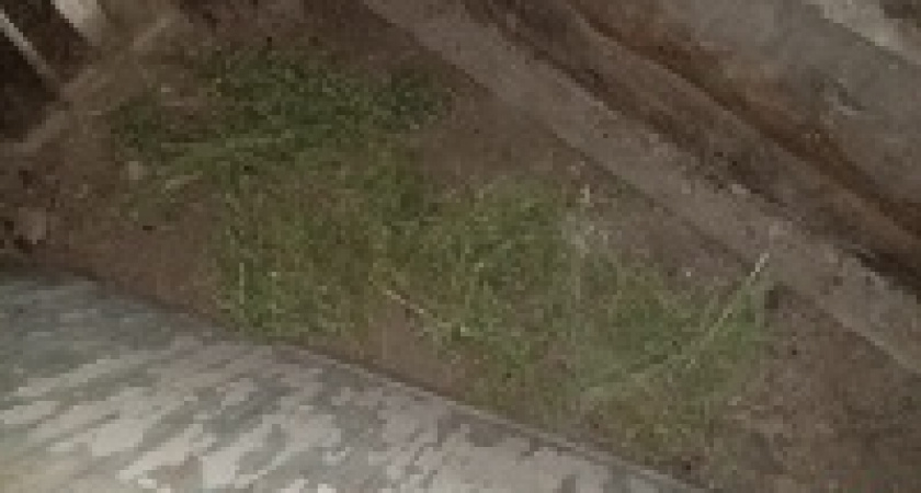 Под Волгоградом мужчина хранил дома марихуану