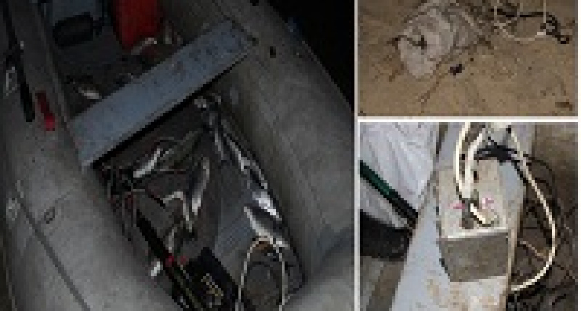 В Волгоградской области задержали рыбаков с электроудочками