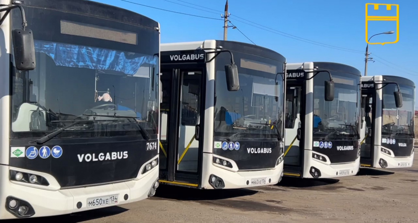Масштабное обновление автобусного парка: Волгограду требуются водители с зарплатой до 120 тысяч рублей