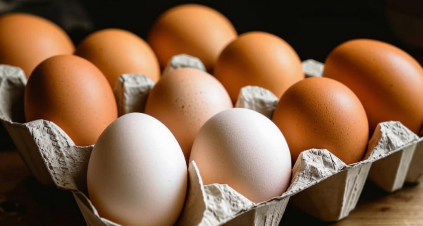 Волгоград объелся яиц? Область впереди планеты всей по потреблению