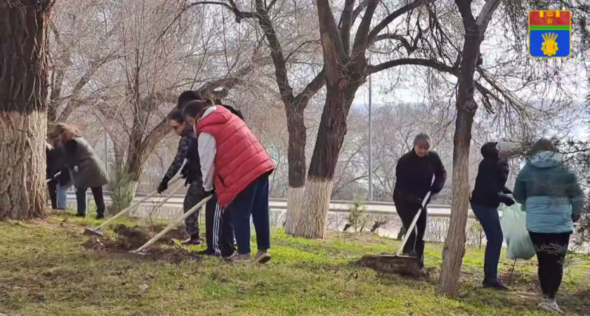 В Волгограде стартовал месячник благоустройства: 1500 горожан и китайские туристы убирают город