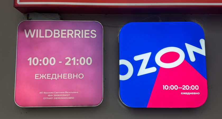 «Мы прекращаем работу c 11 мая»: Wildberries и Ozon приняли важное решение для всех россиян