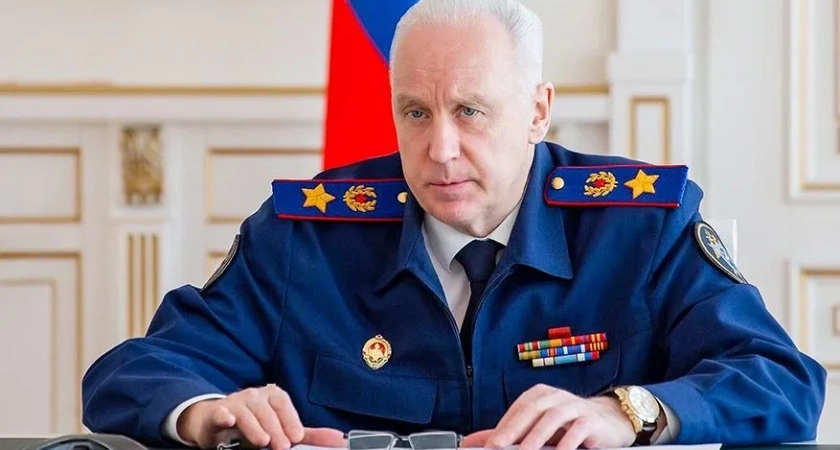 Главный следователь страны поручил возбудить дело о нападении стаи собак на женщину в Волгограде