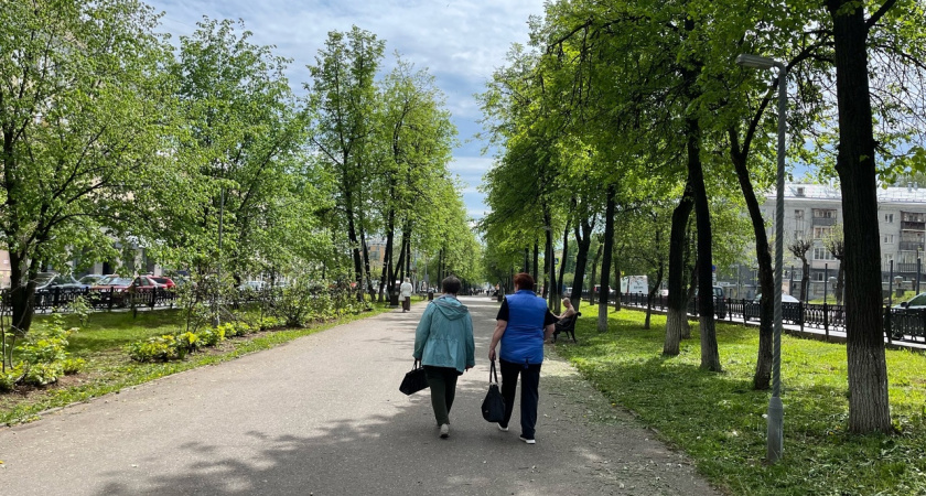 Аномально жаркое лето прогнозируется в Волгоградской области