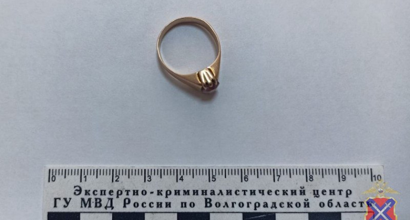 Волгоградская область: у пенсионерки обменяли перстень на мёд — полиция вернула украшение и нашла «пчеловодов»