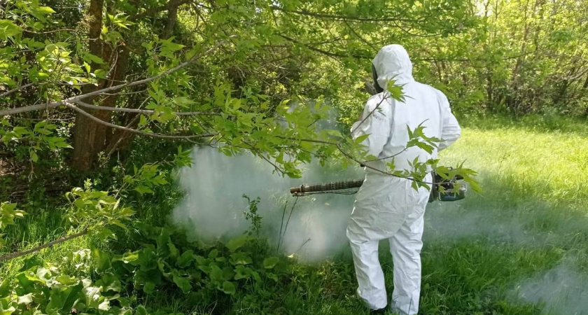 Волгоградская область начала массовую обработку от комаров — под удар попали 151 водоём и острова