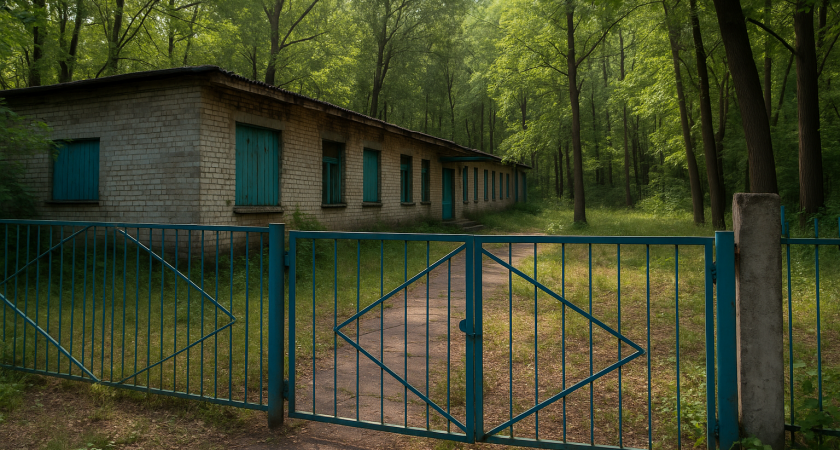 Волгоград может потерять «Птичий остров» — волонтеры просят отдать им заброшенный лагерь