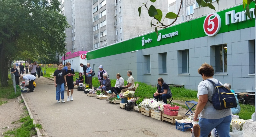 Почему нельзя использовать пакеты из "Магнита" и Пятерочки" для мусора? Теперь никогда не испачкаю их помоями