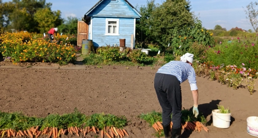 С июня начнут забирать землю: всех, у кого участок или дача в собственности, ждет новое правило