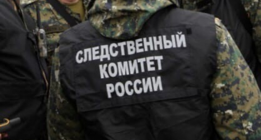 Александр Бастрыкин поможет призвать к ответственности дебошира из Волгограда