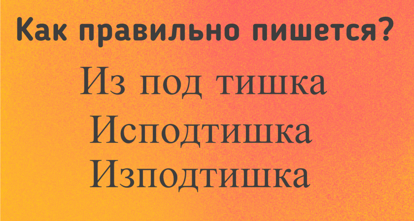 Вопрос с ловушкой: 97% людей ошибутся в этом слово на уроке русского — готовы ли вы гордиться своими знаниями?