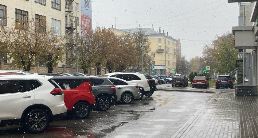 Водительские права продлили в 2025 году? Вот что об этом известно