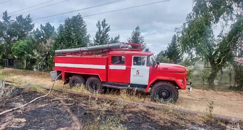 В Волгограде огонь рвался к дачам на Сарпинском острове, но МЧС остановило беду