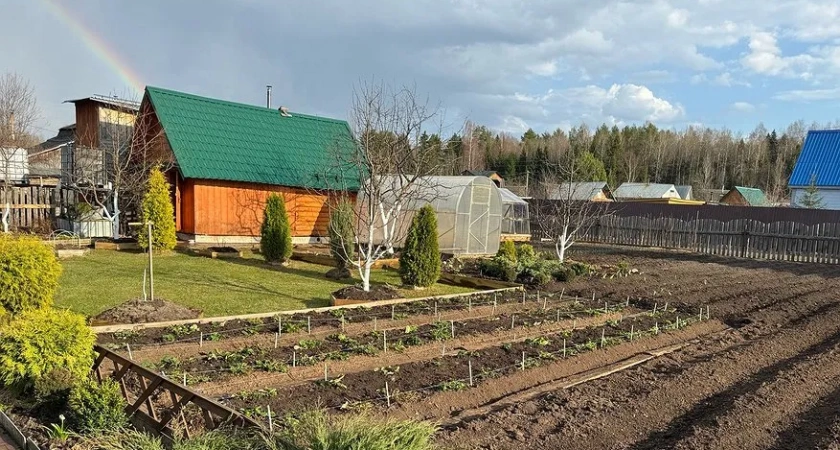 Как и из чего сделать красивые дорожки между грядками на огороде своими руками?