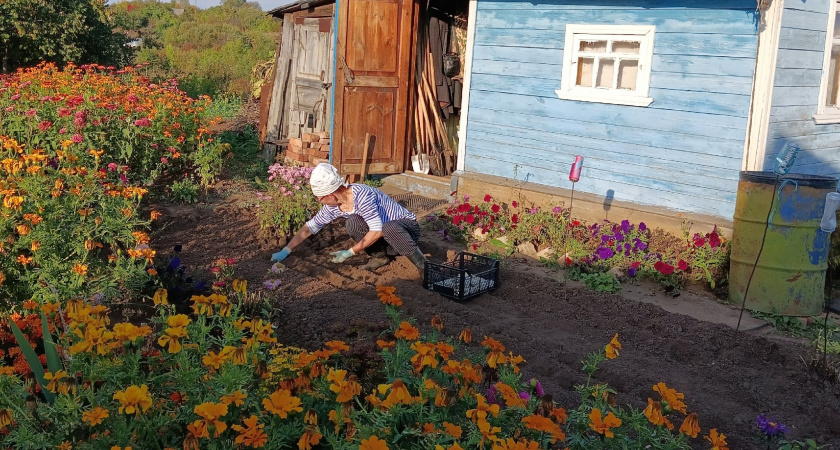С 1 июля без согласия соседа на своём участке будет строго запрещено: новые правила для всех, у кого имеется дача или участок