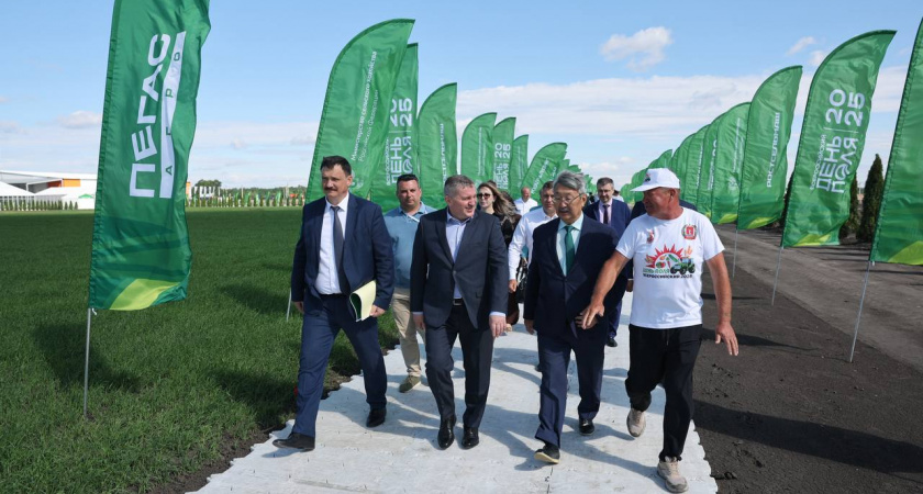 Волгоградская область примет крупнейший агрофорум страны — День поля стартует в Среднеахтубинском районе
