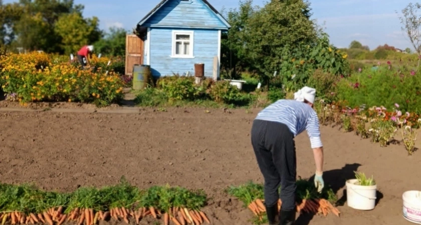Неужели баню теперь придется снести? Это касается всех, у кого есть дача или участок