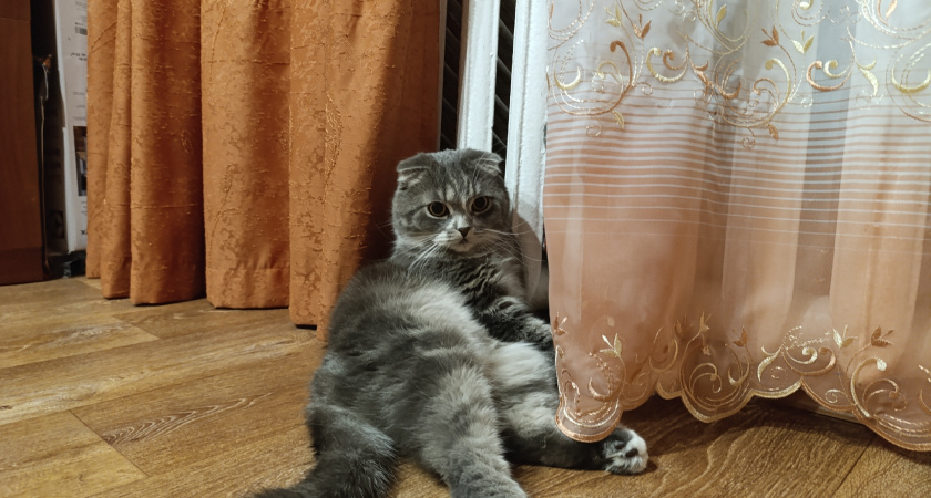 В Волжском с января платить за отопление будут по-другому — что ждет жителей