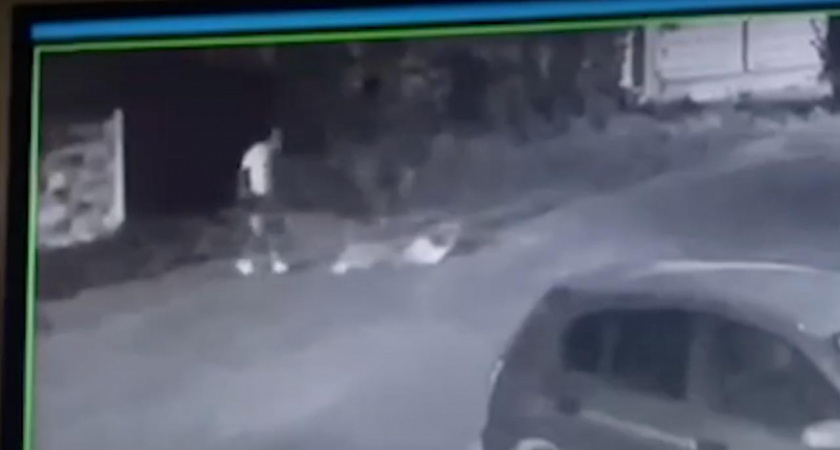 Напавший на пожилую женщину в Городищенском районе задержан: в деле появились новые детали