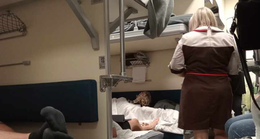 «Купил билет в СВ, через 2 часа заходит пара из плацкарта с просьбой поменяться»: как правильно поступить — отзыв путешественника