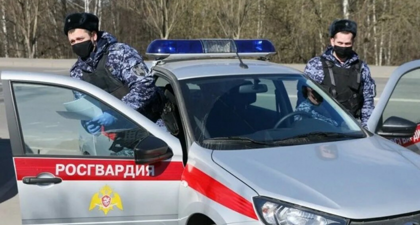 "Еще и эти штрафуют": вас остановила Росгвардия — не паникуем и не платим штрафы, автоэксперт рассказал, что делать