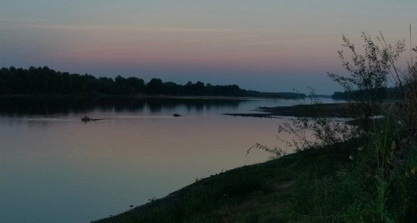 Река Волга зацвела, а вода в квартирах у волгоградцев приобрела характерный запах хлора 
