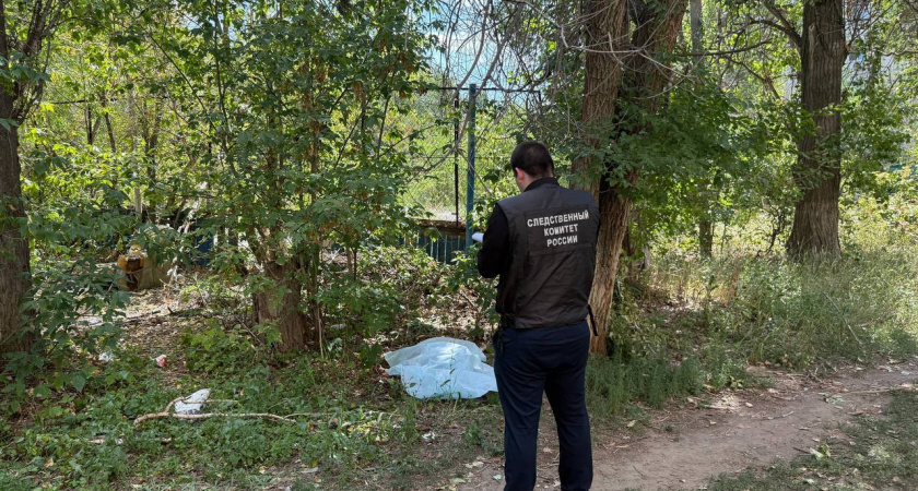 Мужчина убил волгоградку из-за конфликта с её собакой и побрился наголо