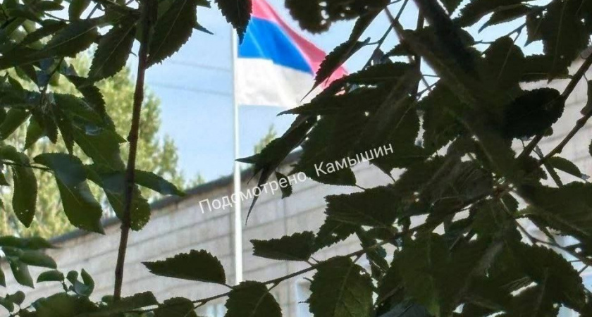 В Камышине во время церемонии в школе подняли сербский флаг вместо российского