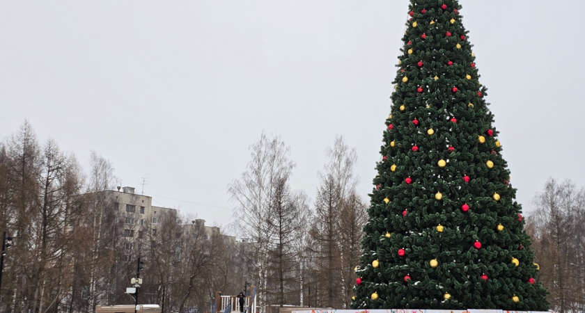 Власти Средней Ахтубы в разгар лета решили купить новогоднюю ёлку