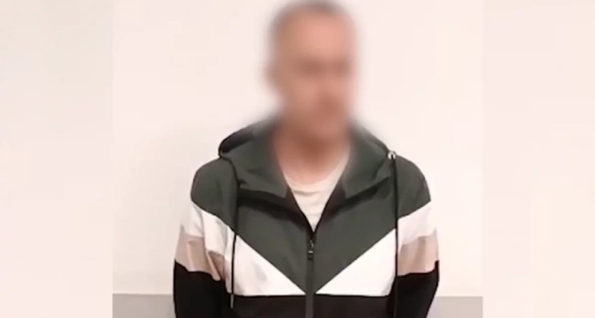 В Москве задержали мужчину, который вёл интимную переписку с 8-летний девочкой из Волгограда