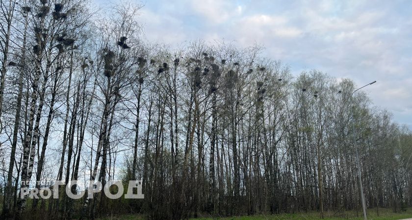 Прогноз погоды на 31 сентября в Волгограде
